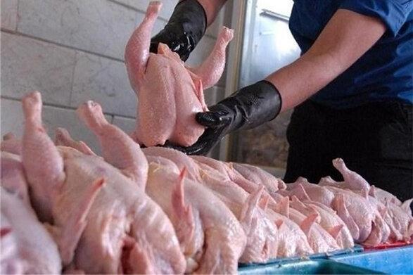 گلایه از برخی استانها در کنترل نکردن قیمت مرغ
