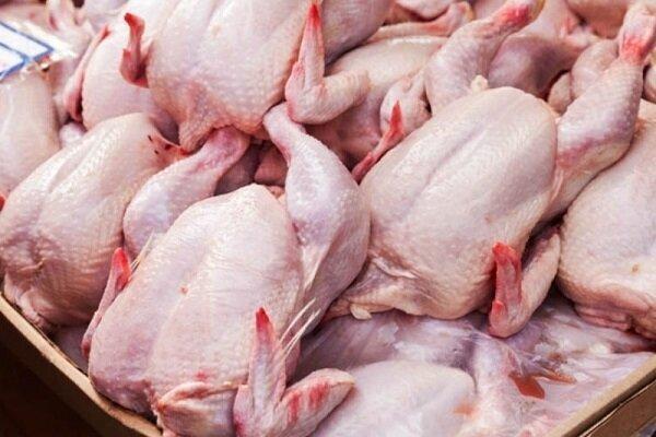 اصلاح قیمت مرغ در راستای افزایش نرخ مؤلفه های فراوری است