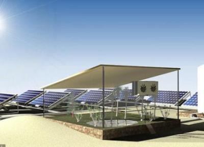 پنل های خورشیدی اسفناج پرورش می دهند!
