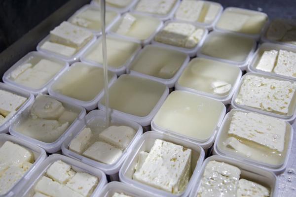 تثبیت قیمت پنیر در میادین ، پنیر لیقوان و تبریز کیلویی چند؟